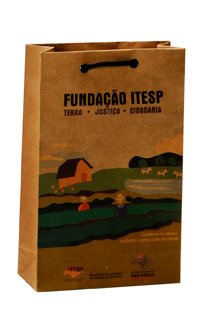 Diversos modelos de sacolas de papel personalizadas da Gazoni Embalagens - kraft, offset, plastificadas, com diferentes tipos de alças e acabamentos